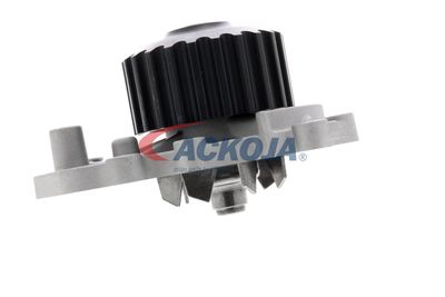 POMPă DE APă RăCIRE MOTOR ACKOJA A2650011 51