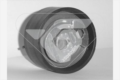 ROLA INTINZATOR CUREA DISTRIBUTIE