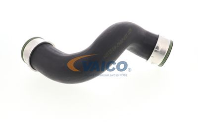 FURTUN EAR SUPRAALIMENTARE VAICO V102842 35