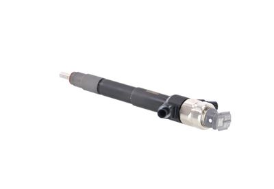 INJECTOR REMANTE 002003001019R 19