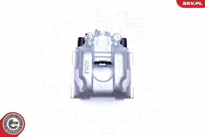 Brake Caliper 42SKV993