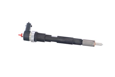 INJECTOR REMANTE 002003000145R 43