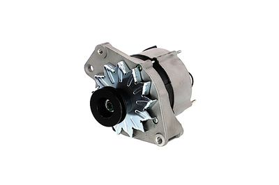 GENERATOR / ALTERNATOR REMANTE 011003000270R 63