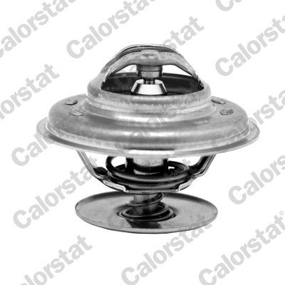 CALORSTAT by Vernet Thermostat, Kühlmittel