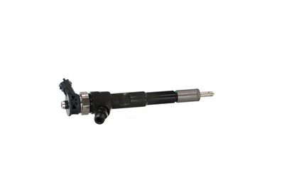 INJECTOR REMANTE 002003001494R 42