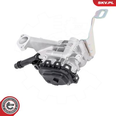 AGR-Ventil ESEN SKV 14SKV270