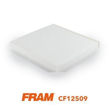 FILTRU AER HABITACLU