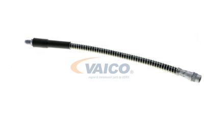 FURTUN FRANA VAICO V464113 14