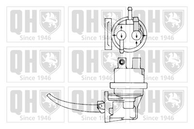 POMPA COMBUSTIBIL QUINTON HAZELL QFP199 1