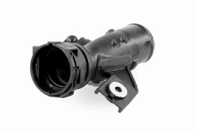 FURTUN EAR SUPRAALIMENTARE ACKOJA A380296 8