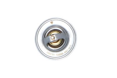 TERMOSTAT LICHID RACIRE NRF 725036 8