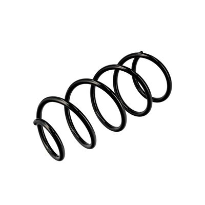ARC SPIRAL EIBACH R10630 4