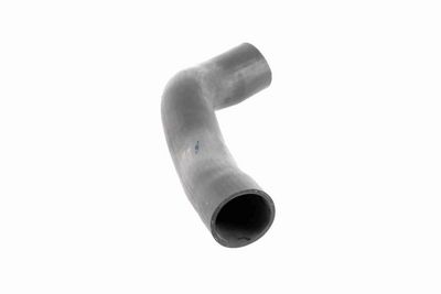 FURTUN EAR SUPRAALIMENTARE ACKOJA A379600 7