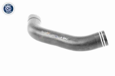 LADELUFTSCHLAUCH VAICO V240712 6