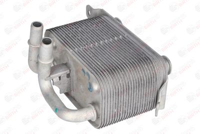 RADIATOR ULEI ULEI MOTOR BIRTH 80261 3