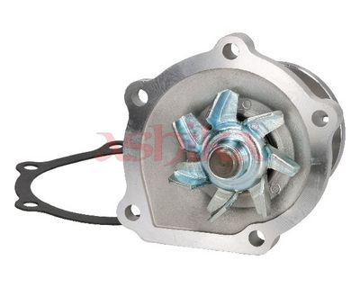 POMPă DE APă RăCIRE MOTOR ASHIKA 3502297 1