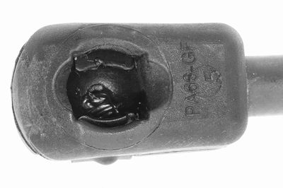 GASFEDER KOFFER-/LADERAUM VAICO V302066 1