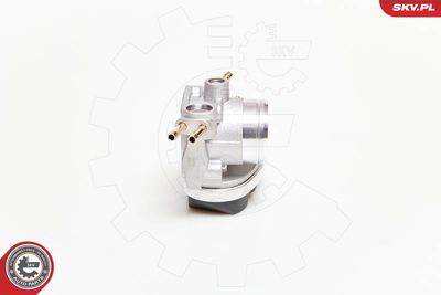 Throttle Body 12SKV037