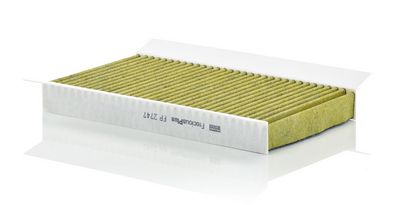 Filter, Innenraumluft