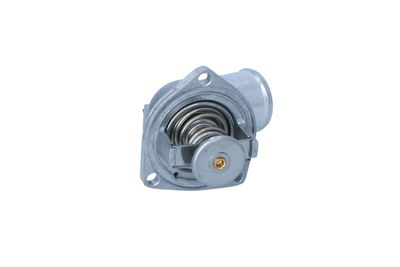 TERMOSTAT LICHID RACIRE NRF 725014 45
