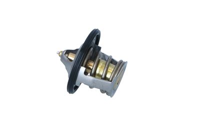 TERMOSTAT LICHID RACIRE NRF 725012 19