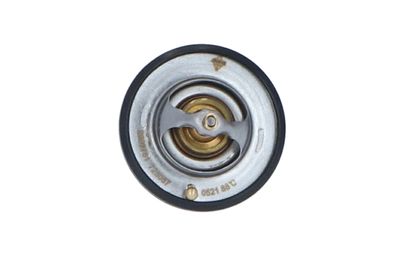 TERMOSTAT LICHID RACIRE NRF 725087 46