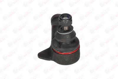 CAP DE BARA BIRTH RD0656 4