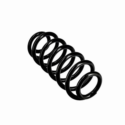 ARC SPIRAL EIBACH R10615 23