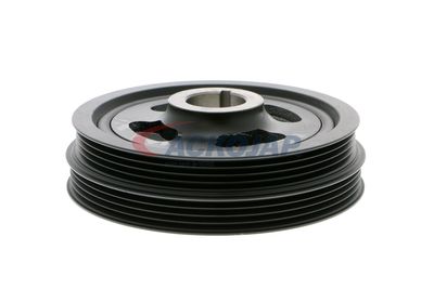 FULIE CUREA ARBORE COTIT ACKOJA A530606 43