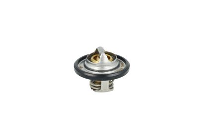 TERMOSTAT LICHID RACIRE NRF 725544 10