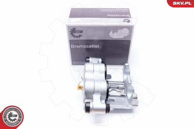 Brake Caliper 34SKV832