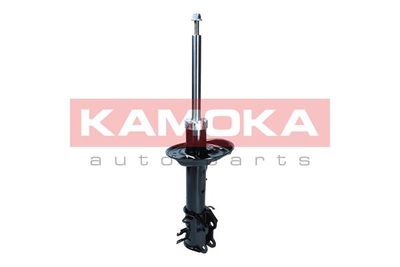 Shock Absorber 2001102