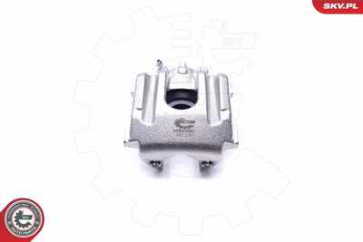 Brake Caliper 46SKV593