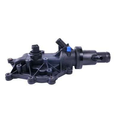 Thermostat, coolant TH41589G1