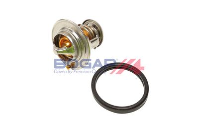 TERMOSTAT LICHID RACIRE