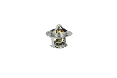 TERMOSTAT LICHID RACIRE NRF 725097 42