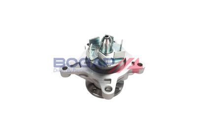 POMPă DE APă RăCIRE MOTOR BOGAP Y4234111 3