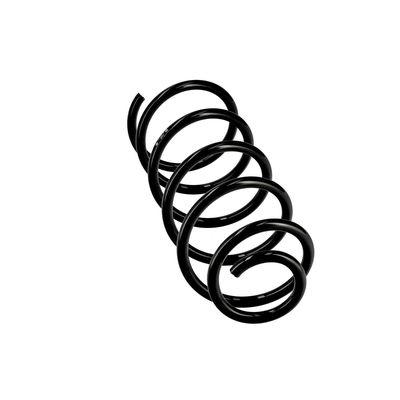 ARC SPIRAL EIBACH R10454 12