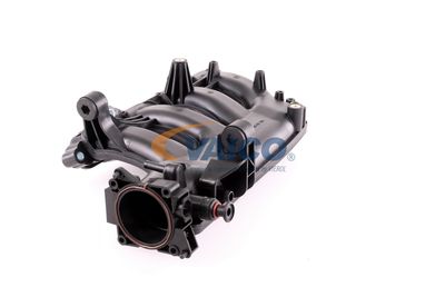 MODUL CONDUCTA ADMISIE VAICO V301074 28