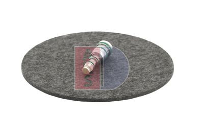 REGELVENTIL KOMPRESSOR AKS DASIS 859024N 12