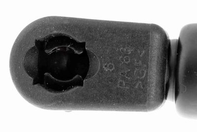 GASFEDER KOFFER-/LADERAUM VAICO V250228 2
