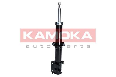 Shock Absorber 2000267