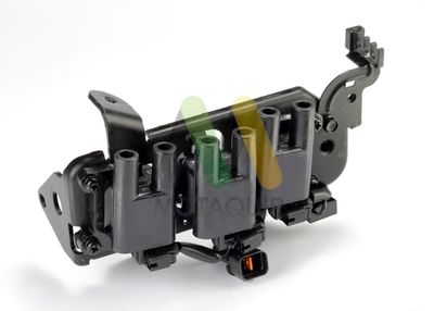 MOTAQUIP LVCL1179 Катушка зажигания  для HYUNDAI SANTA FE (Хендай Санта фе)