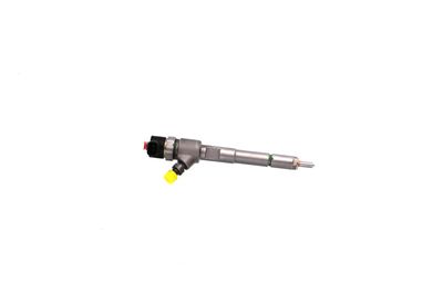 INJECTOR REMANTE 002003002124R 43