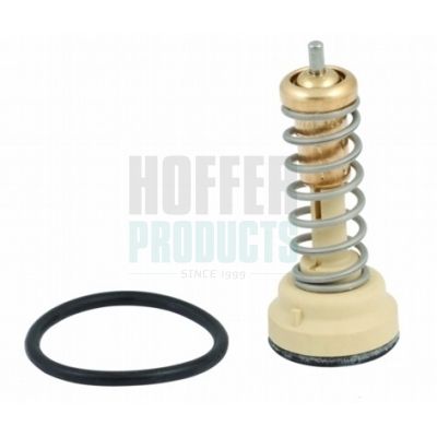 TERMOSTAT LICHID RACIRE