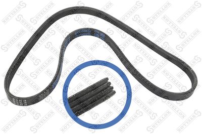 Поликлиновой ремень STELLOX 04-00922-SX для FIAT DUCATO