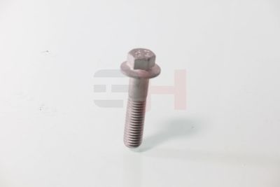 SURUB CAPAT DE AX GH GH392549 30