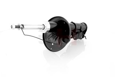 AMORTIZOR GH GH354866H 10