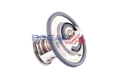 TERMOSTAT LICHID RACIRE