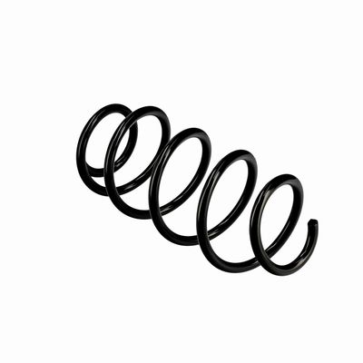 ARC SPIRAL EIBACH R10193 22